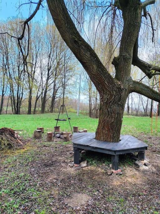 Swietokrzyskie Dworek Kasztanowa Aleja